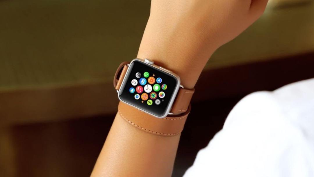 Apple Watch Armbänder