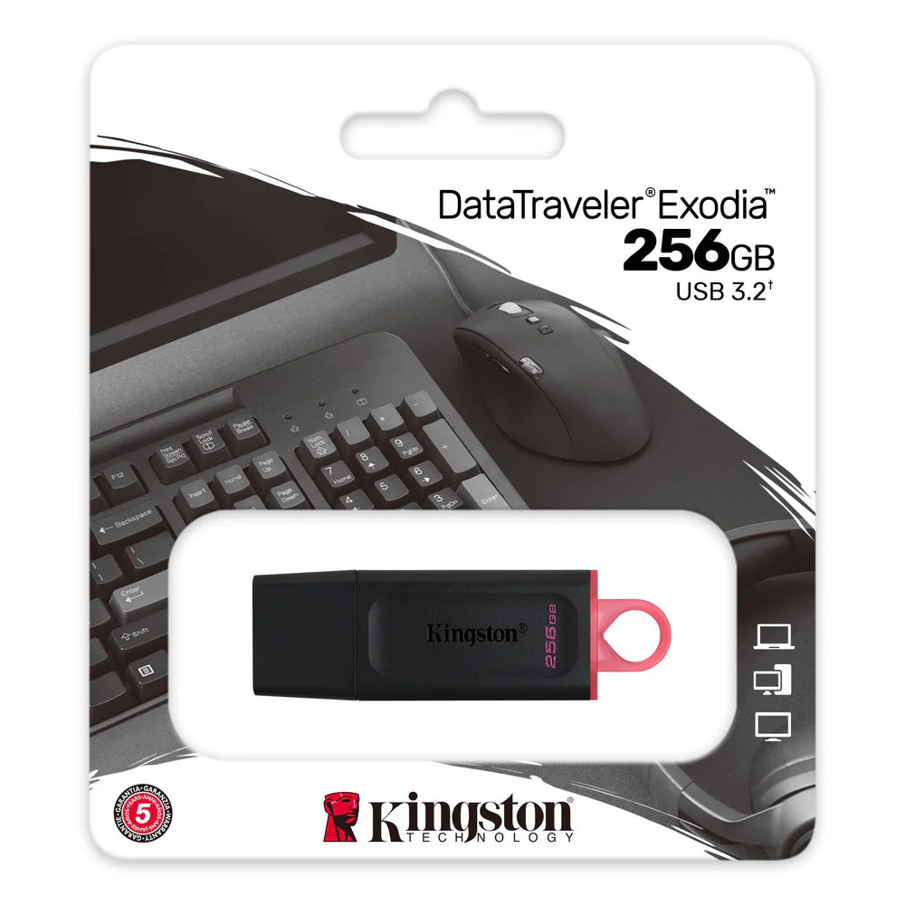 Kingston 256GB DataTraveler Exodia USB 3.2 Gen 1 - Schwarz/Pink